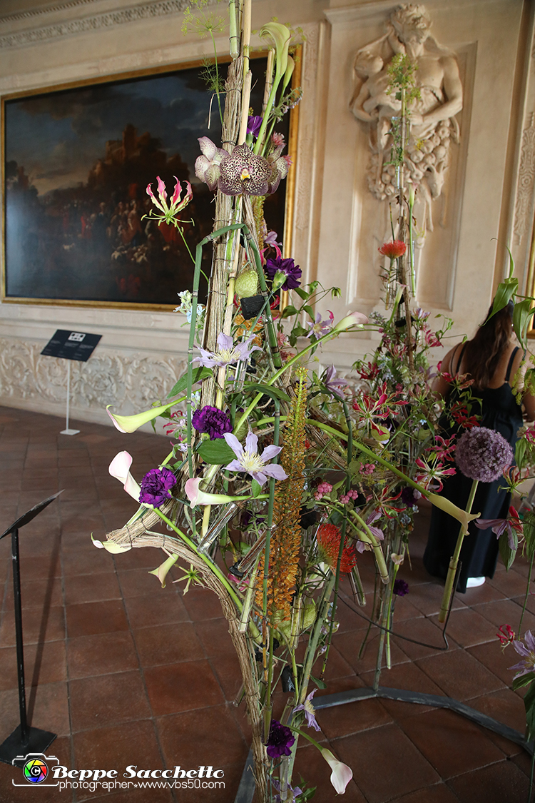 VBS_0088 - Corollaria Flower Exhibition 2022.jpg